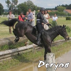 deryna2.jpg